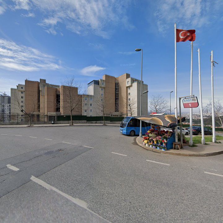 Fotoğraf 14