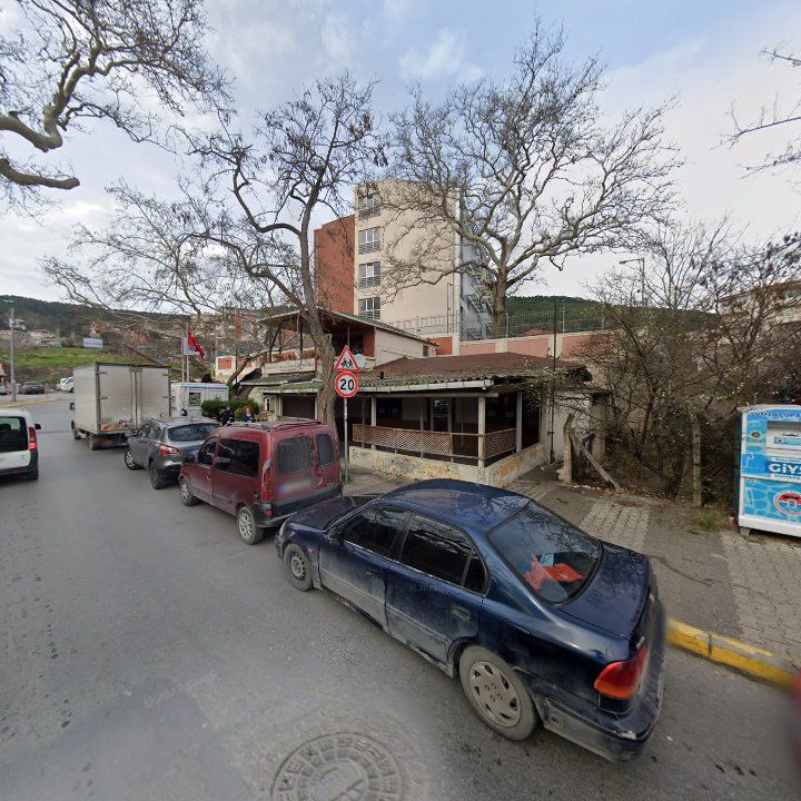 Fotoğraf 8