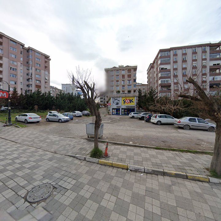 Fotoğraf 11