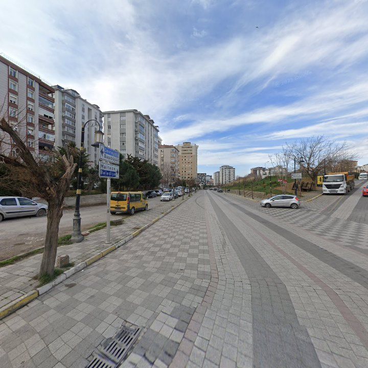 Fotoğraf 12
