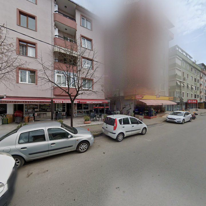 Fotoğraf 6