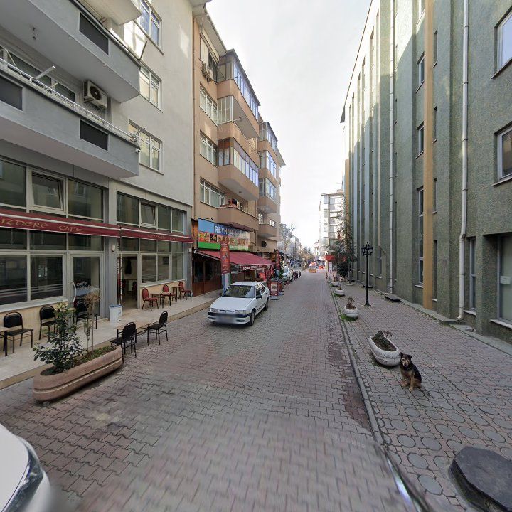 Fotoğraf 6