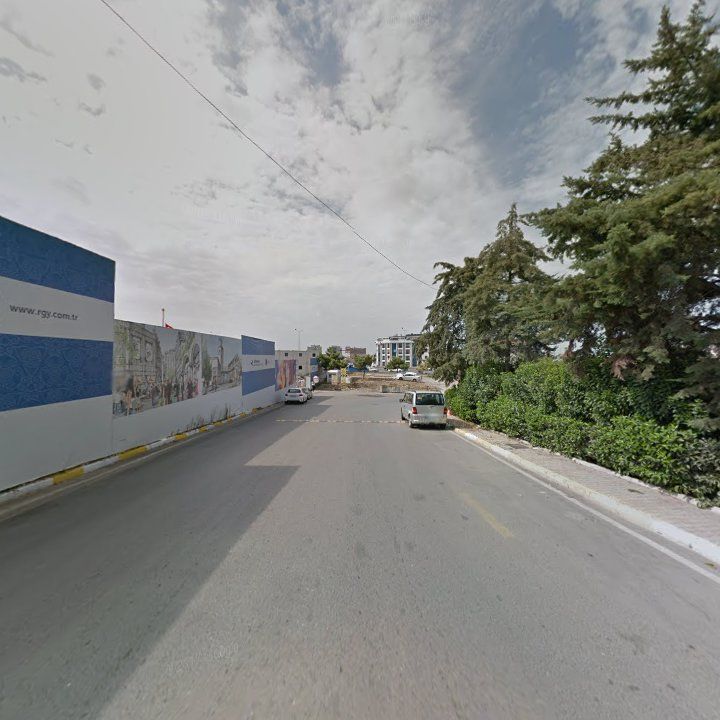 Fotoğraf 7