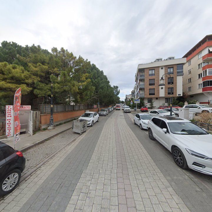 Fotoğraf 10