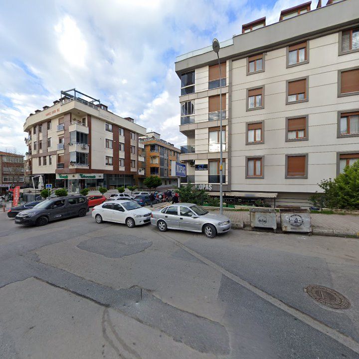 Fotoğraf 12