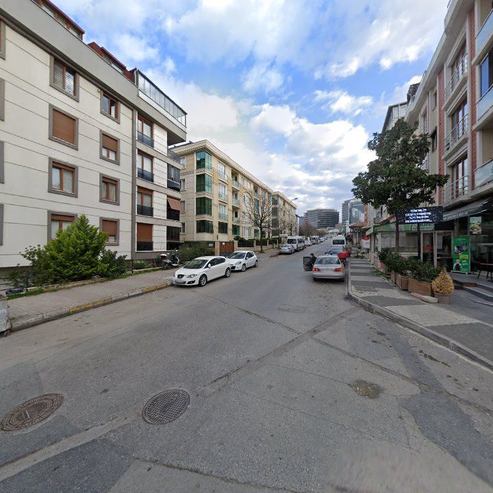 Fotoğraf 13