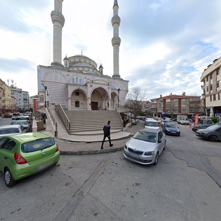 Fotoğraf 11