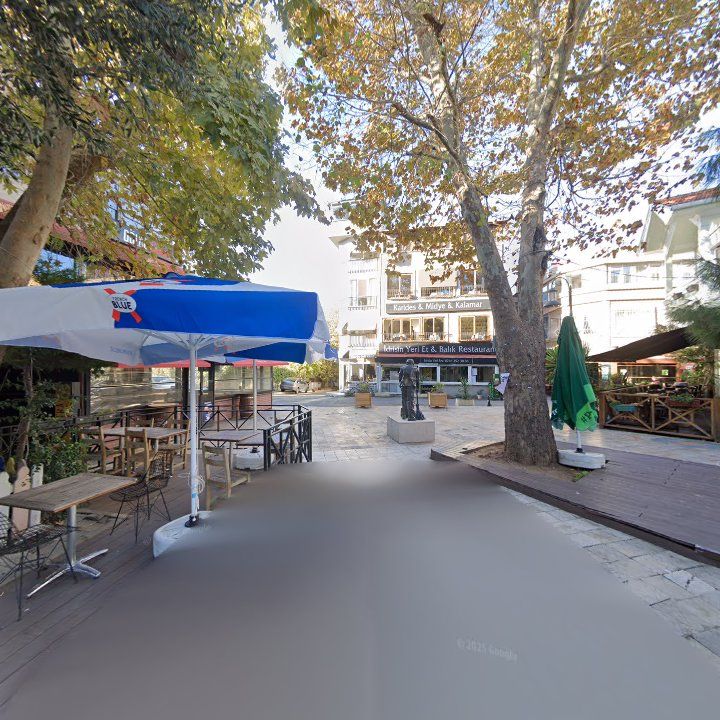 Fotoğraf 8