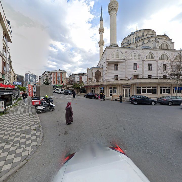 Fotoğraf 7