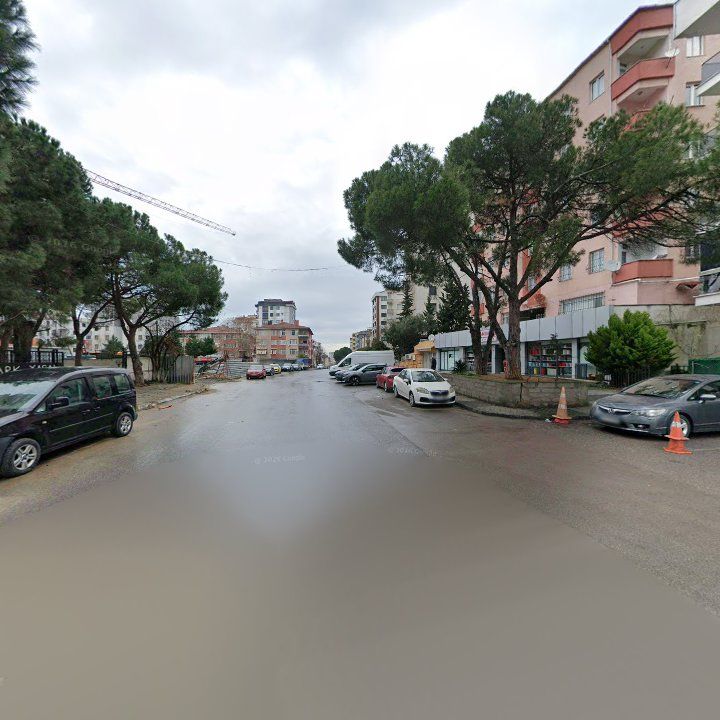 Fotoğraf 10