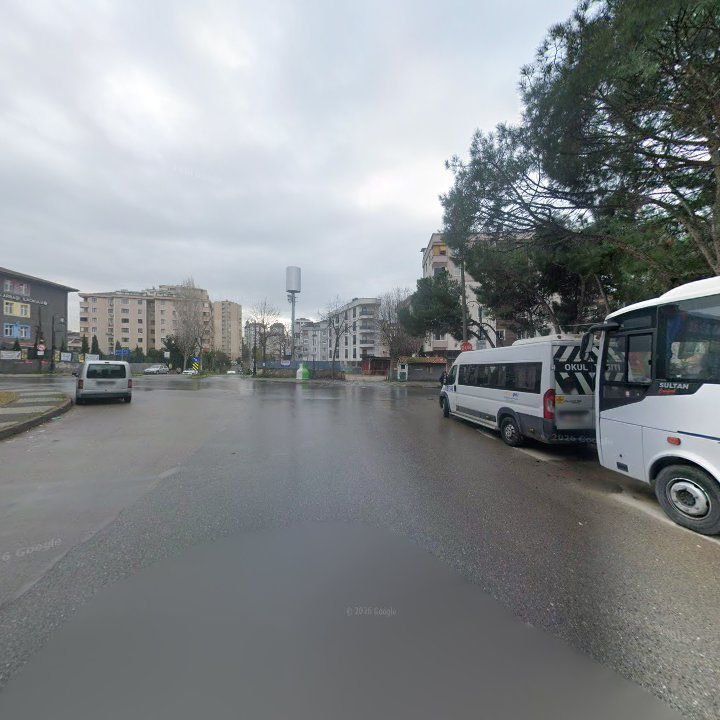 Fotoğraf 8