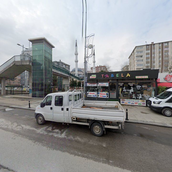 Fotoğraf 7