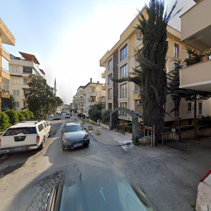 Fotoğraf 8