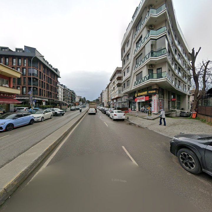 Fotoğraf 10