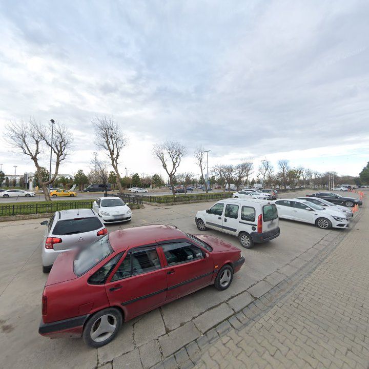Fotoğraf 11