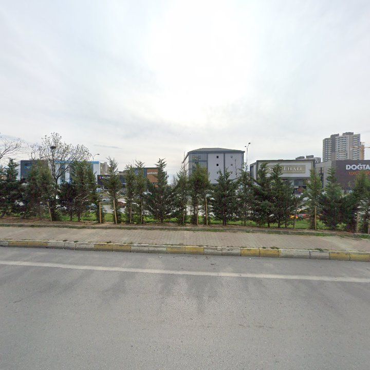 Fotoğraf 15