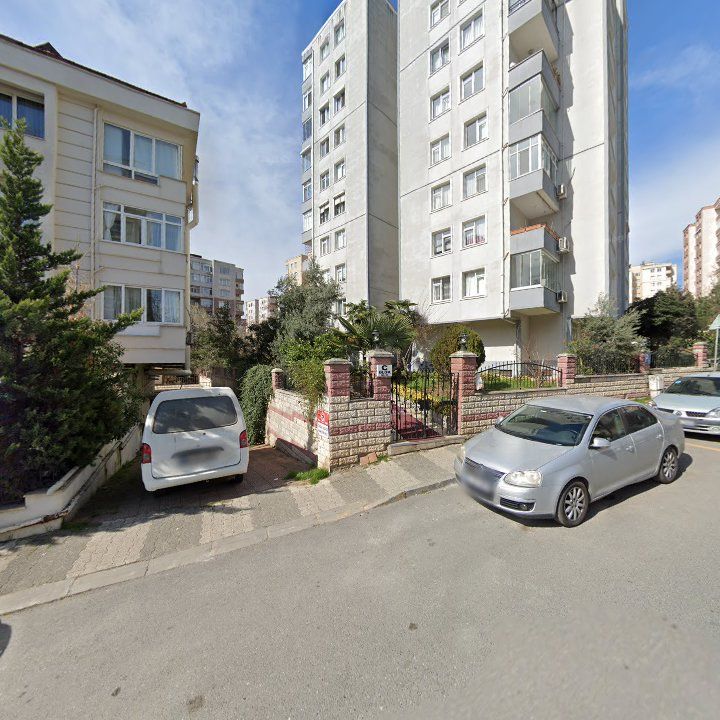 Fotoğraf 11