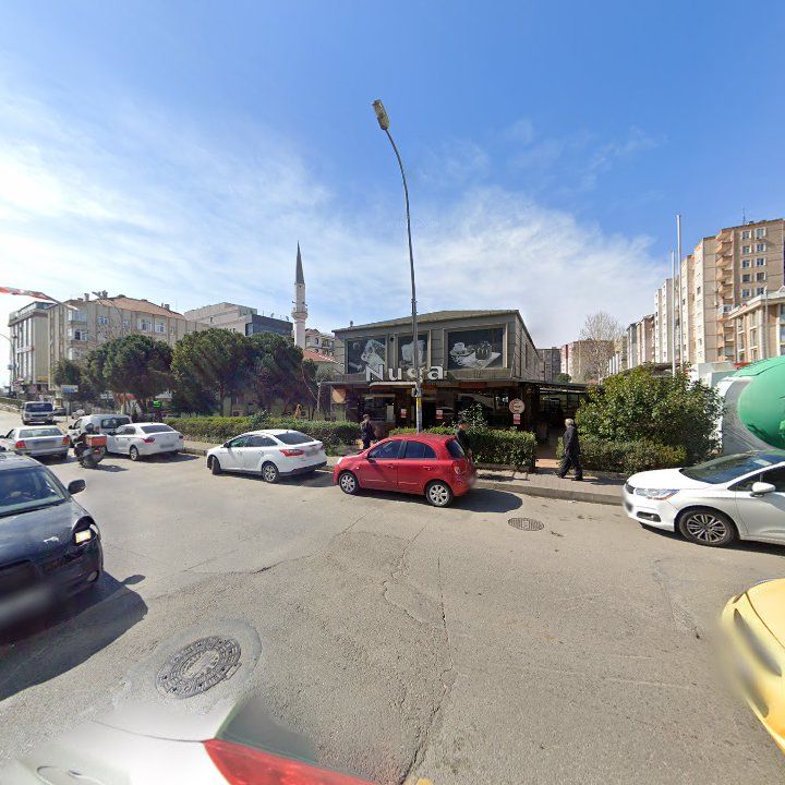 Fotoğraf 11