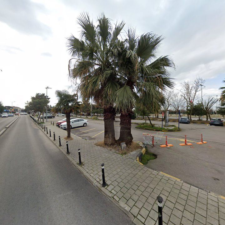 Fotoğraf 10