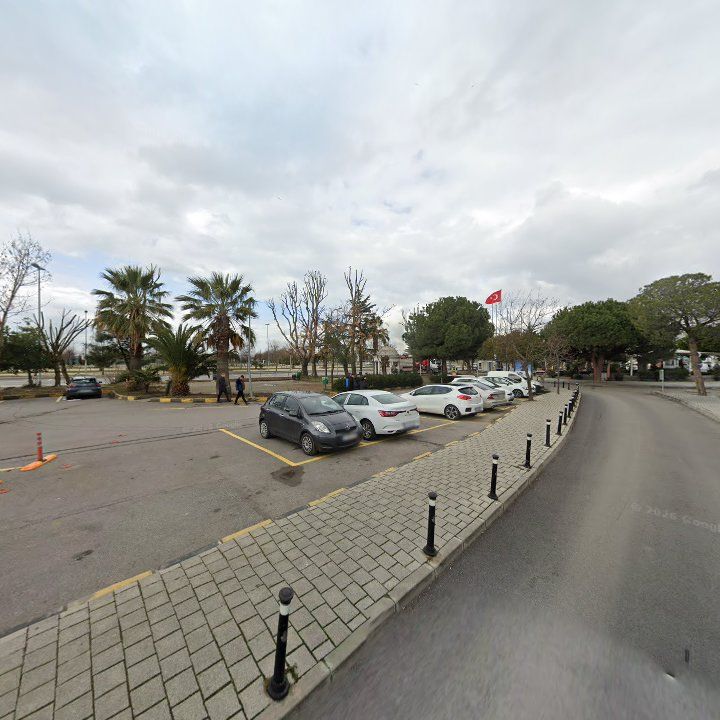 Fotoğraf 11