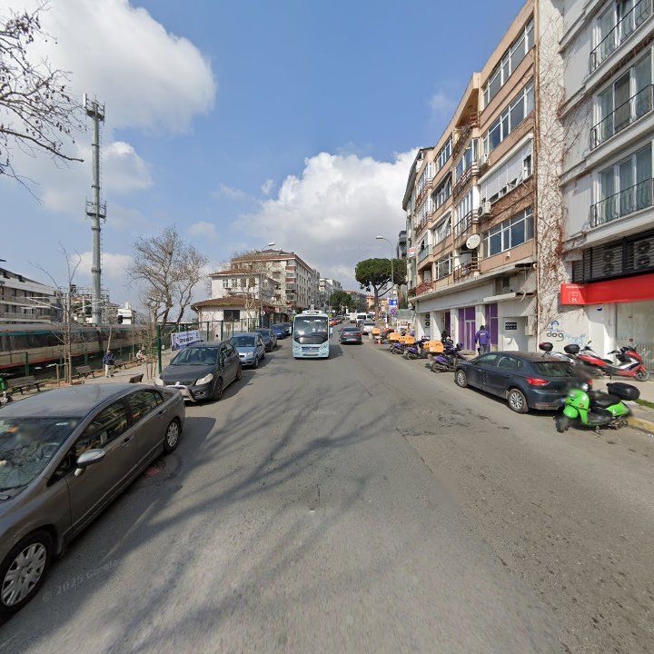 Fotoğraf 11