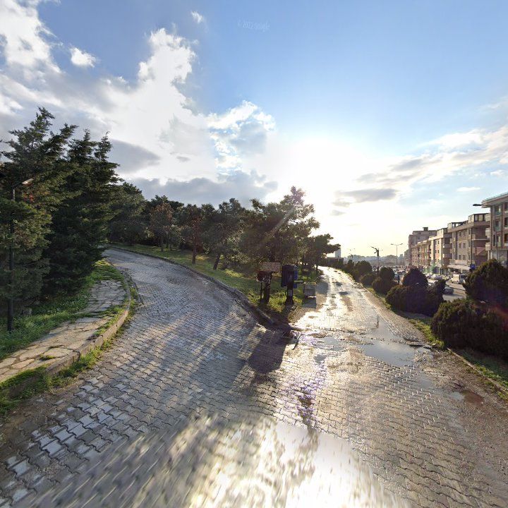 Fotoğraf 8