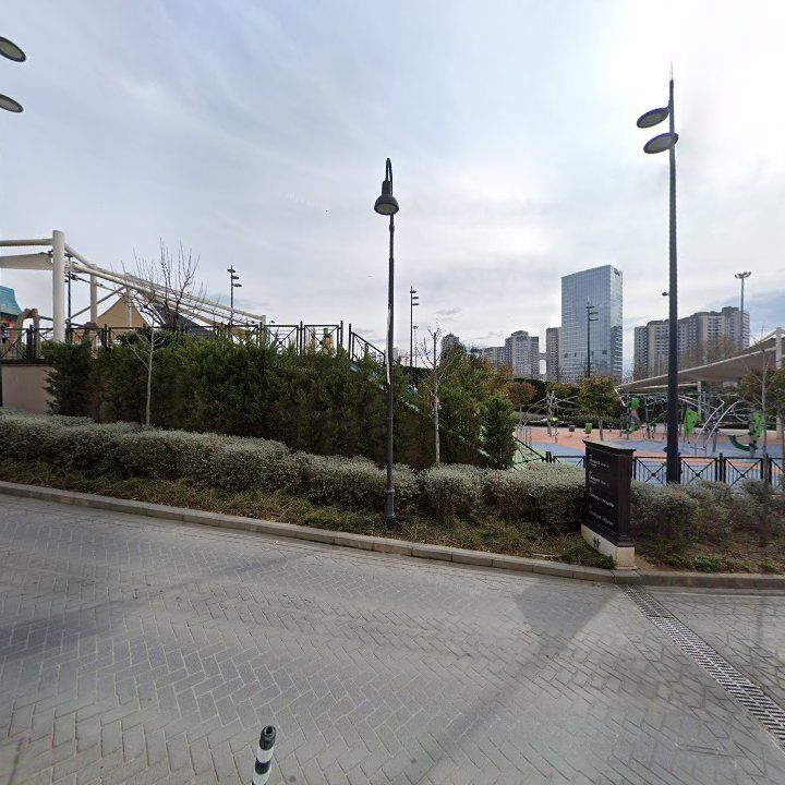 Fotoğraf 11
