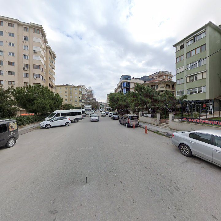 Fotoğraf 13