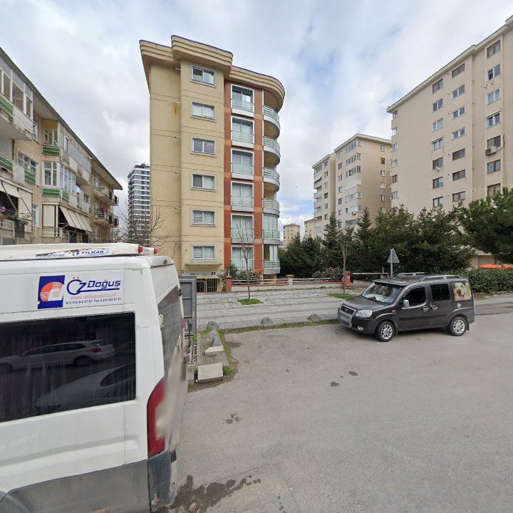 Fotoğraf 12