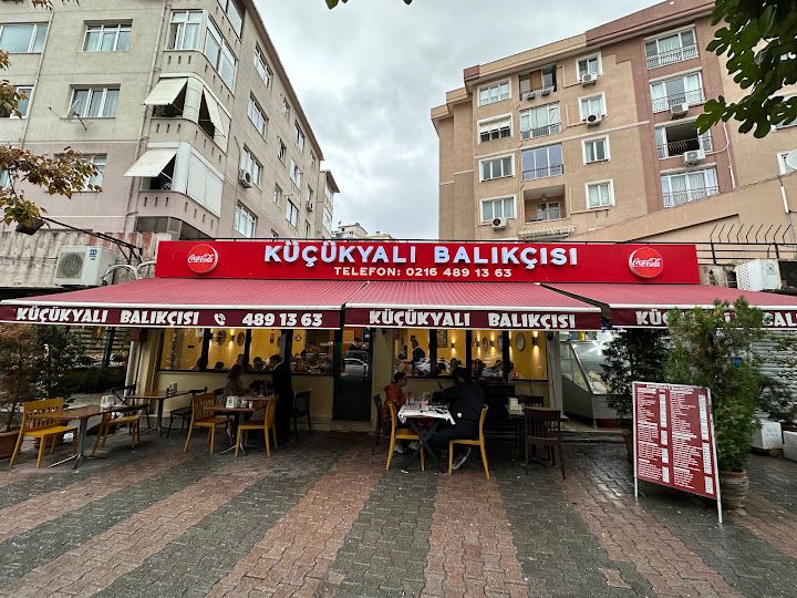 Küçükyalı Balıkçısı