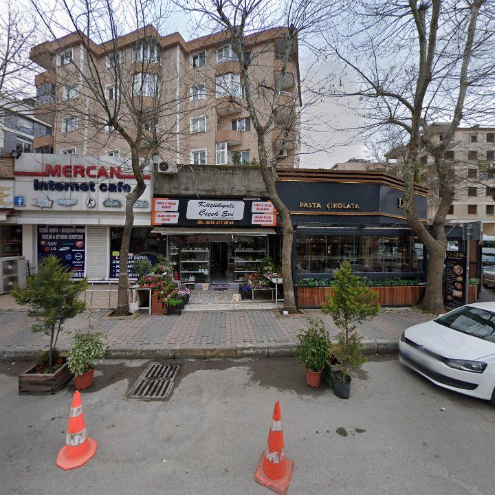 Fotoğraf 13
