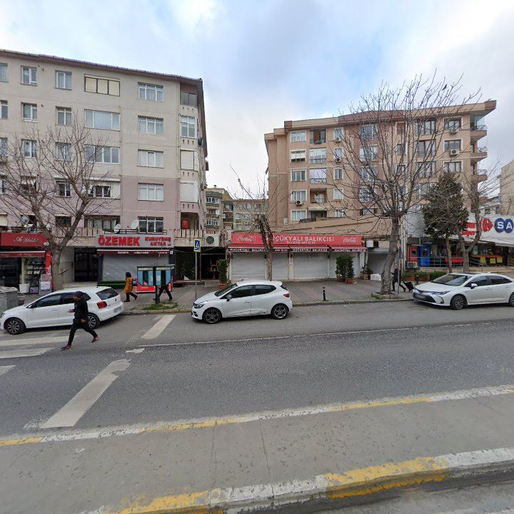 Fotoğraf 11