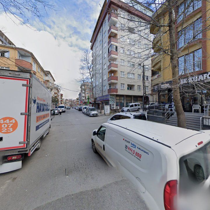 Fotoğraf 8