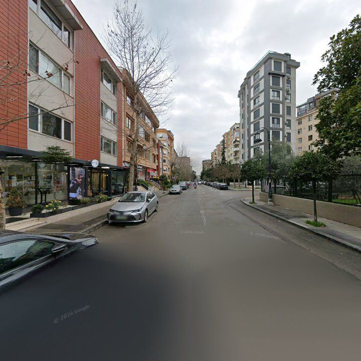Fotoğraf 16