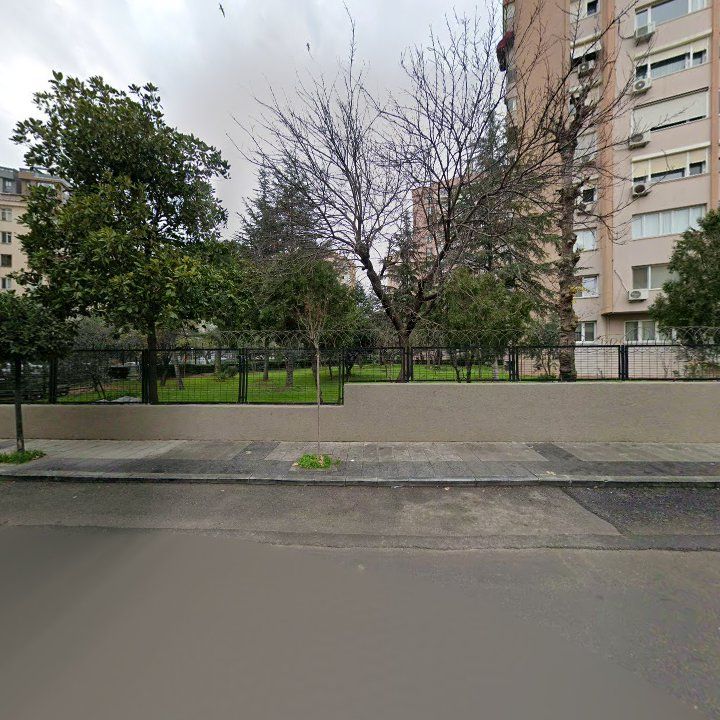 Fotoğraf 17