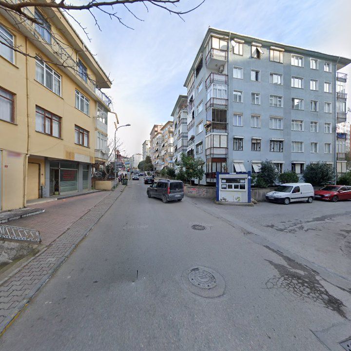 Fotoğraf 11