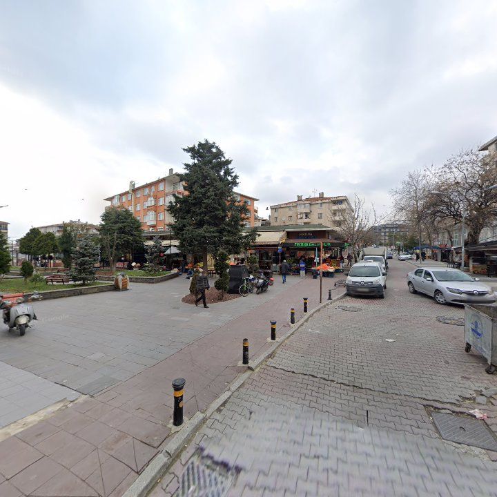 Fotoğraf 7