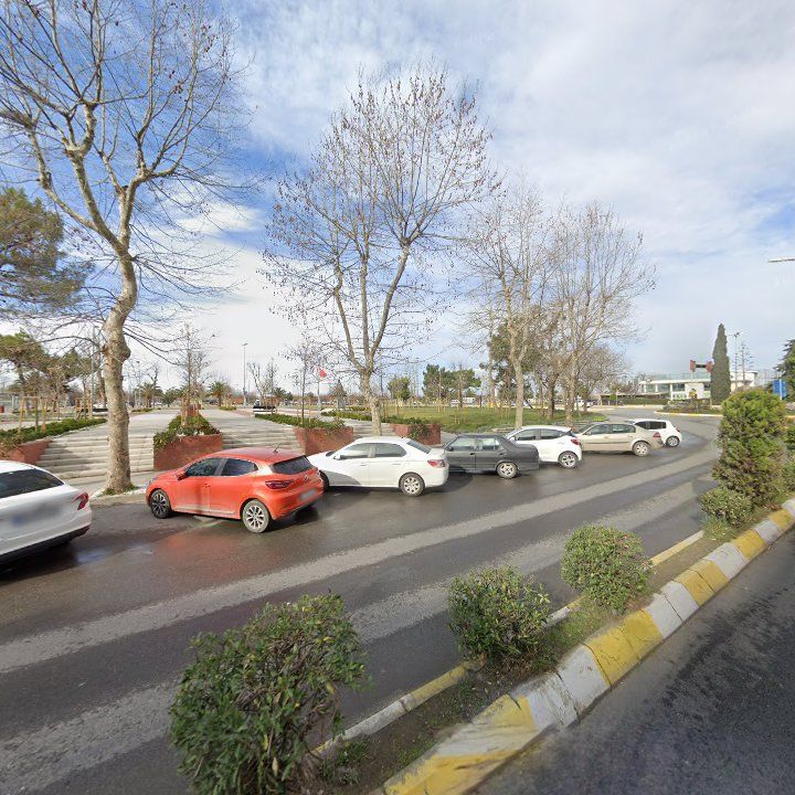 Fotoğraf 8