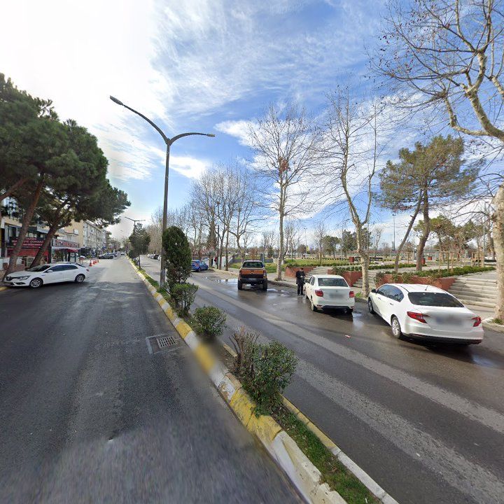 Fotoğraf 7
