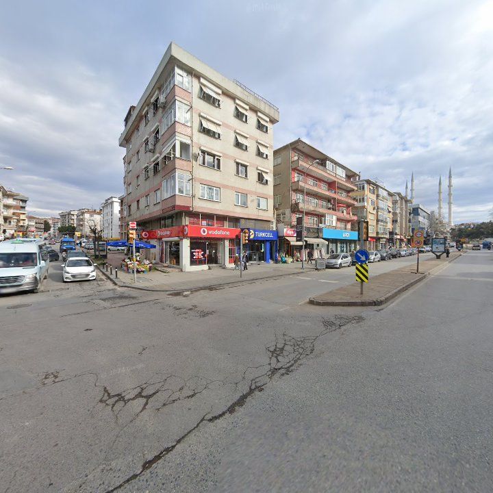 Fotoğraf 12