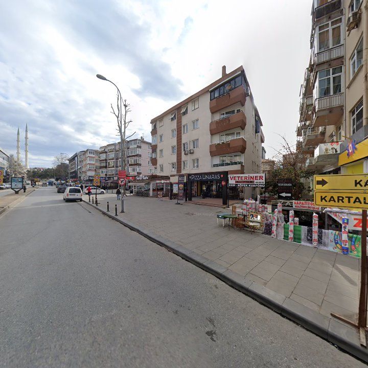 Fotoğraf 9