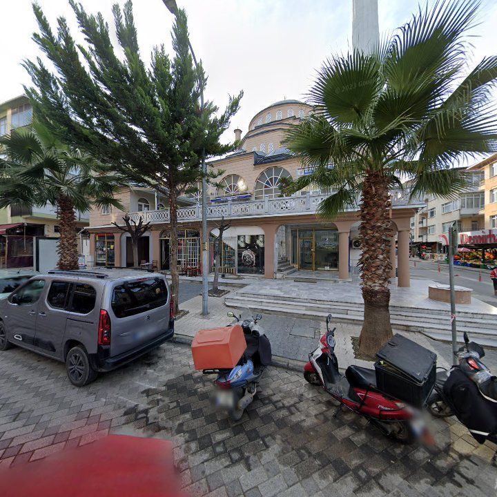 Fotoğraf 7