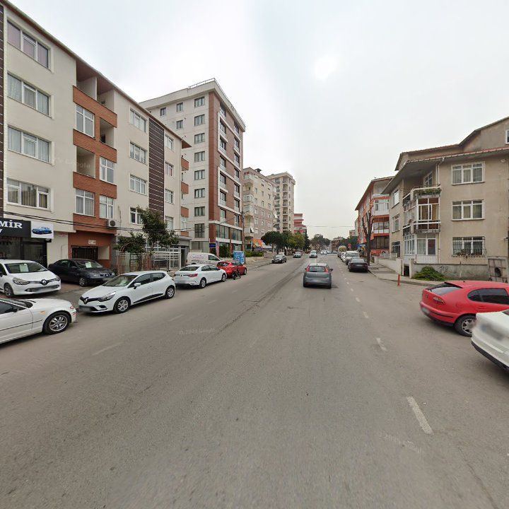 Fotoğraf 10