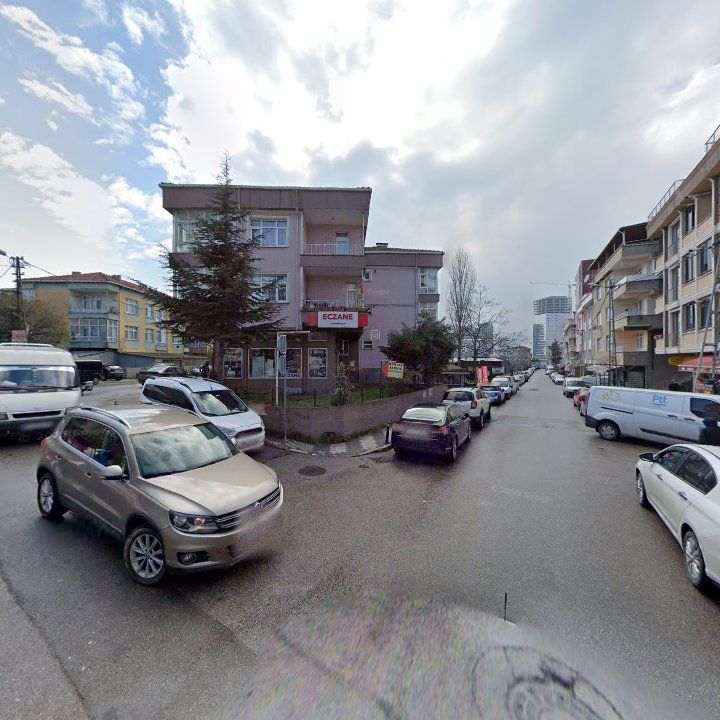 Fotoğraf 10