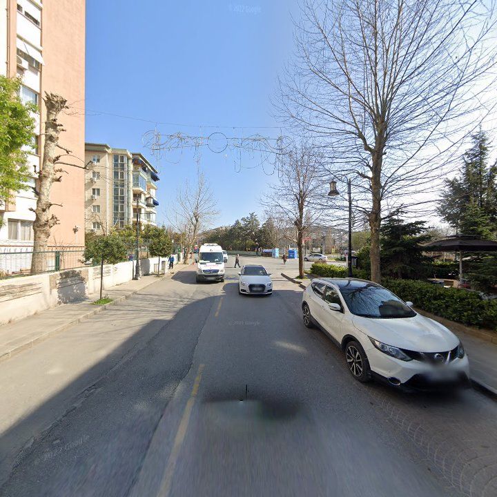 Fotoğraf 12