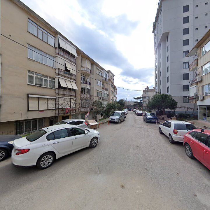 Fotoğraf 11