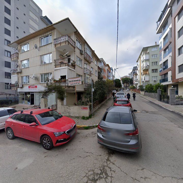 Fotoğraf 12