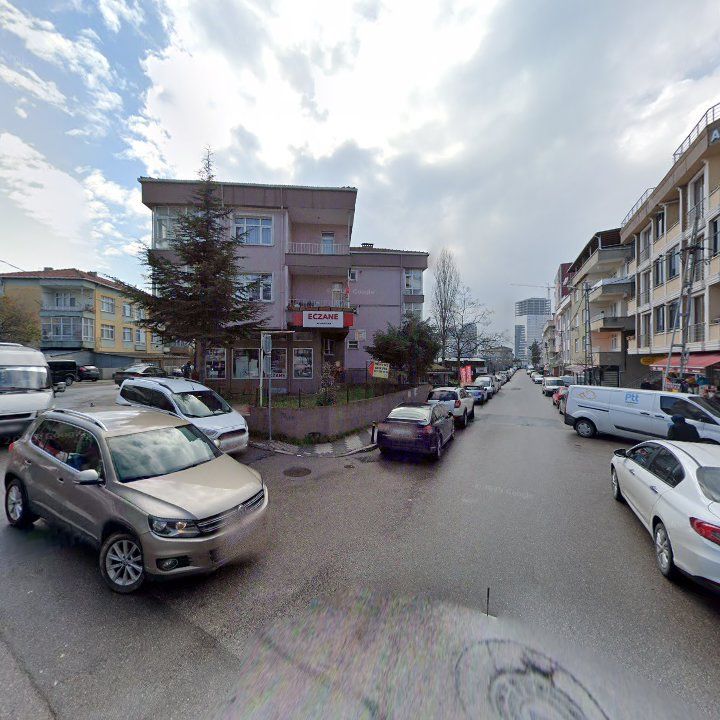 Fotoğraf 8