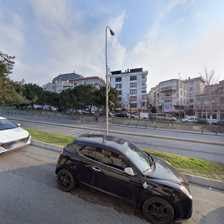 Fotoğraf 10