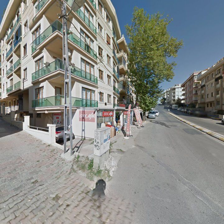 Fotoğraf 9